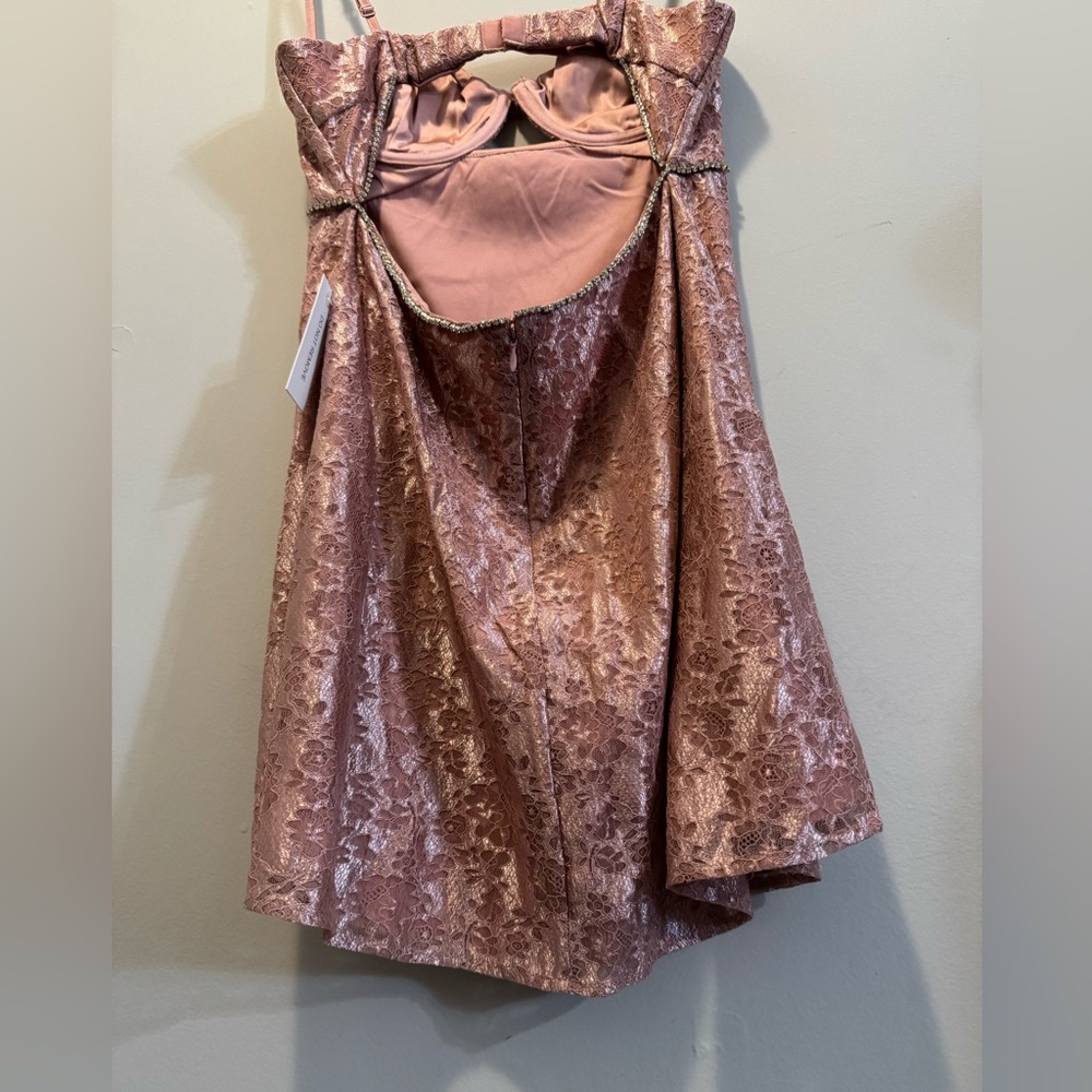 For Love And Lemons Rose Pink Velvet Lace Trim Mini Dress - Picture 9 of 9